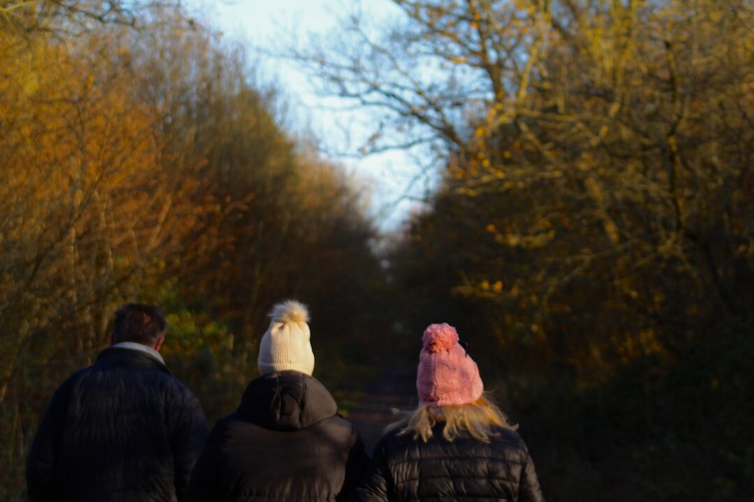 person walking in forest